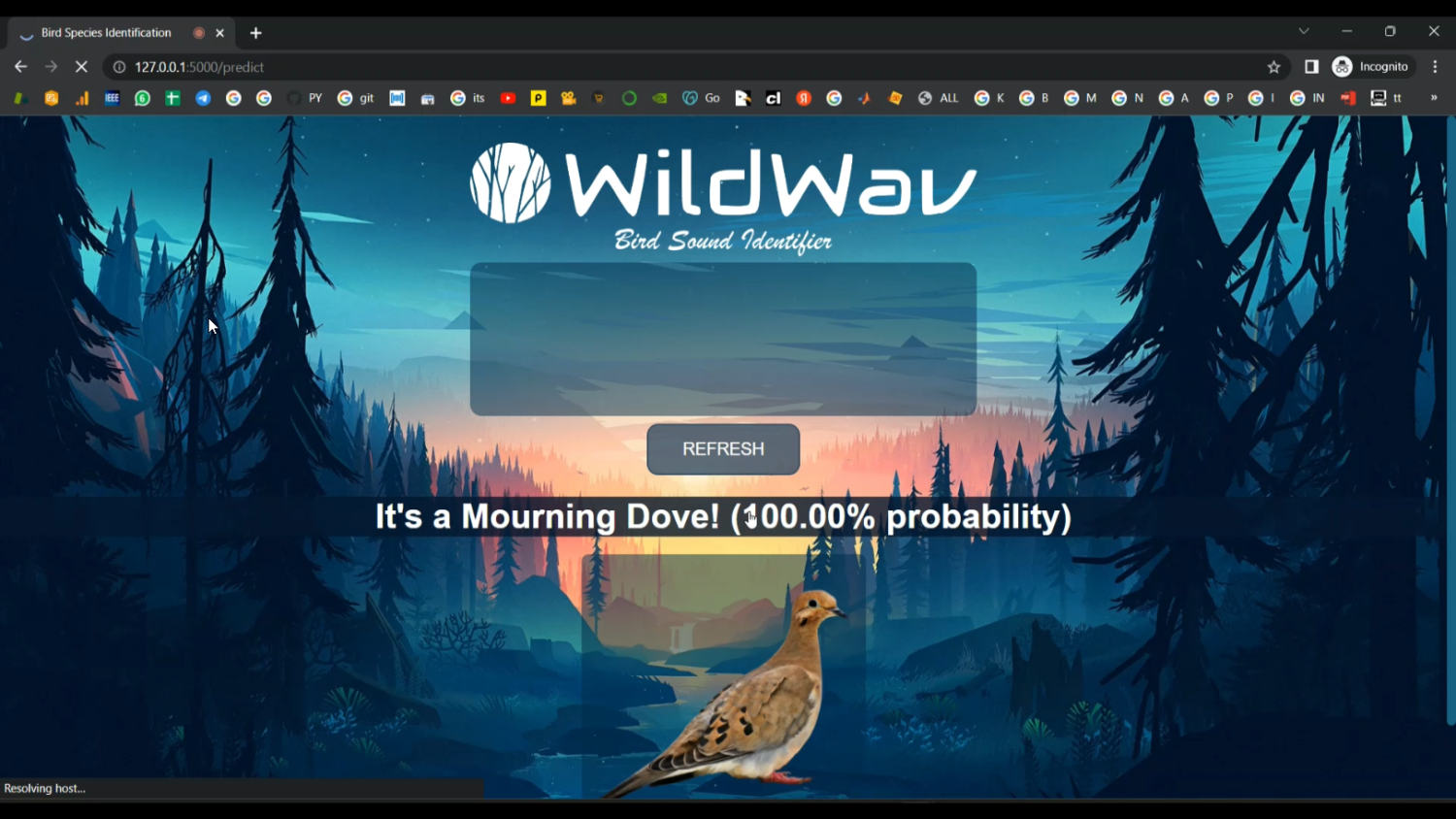 Birds Sound Classification Flask App in Python Projects