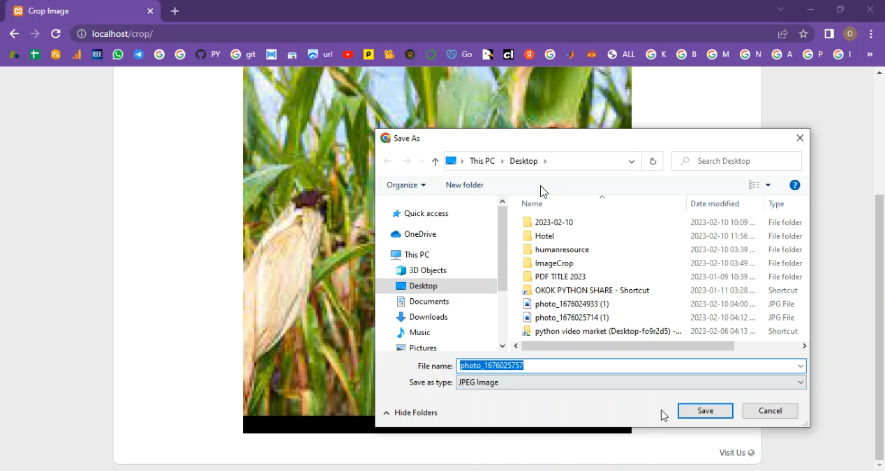 Crop Photo and Images in PHP Application Projects